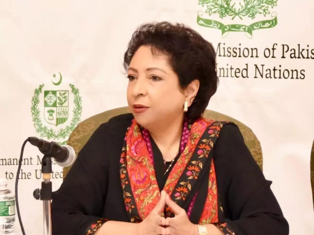 پاکستان پر پابندیاں، بھارت کو رعایت: امریکا کے دوہرے معیار پر ملیحہ لودھی کی تنقید
