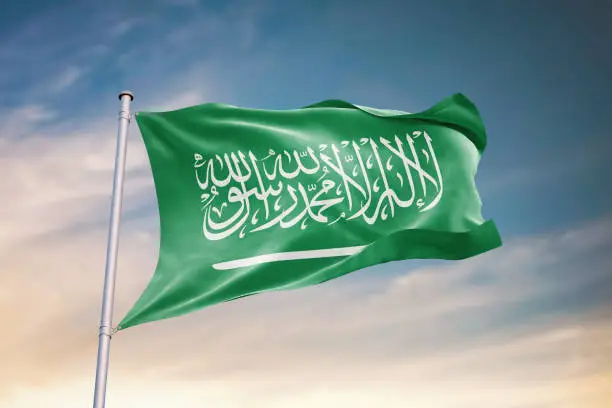 غزہ میں اسرائیلی مظالم، ویٹو کے غلط استعمال اور شام پر حملوں پر سعودی عرب کا سخت ردعمل فلسطینی حقوق کے لیے عالمی برادری سے فوری تعاون کی اپیل
