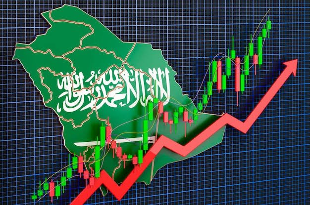 وزیر اطلاعات سلمان الدوسری : سعودی ڈیجیٹل معیشت 495 ارب ریال کی ریکارڈ سطح پر پہنچ گئی ہے