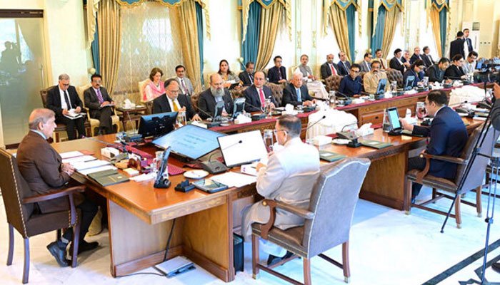 وفاقی حکومت نے24 سرکاری اداروں کی نجکاری کا فیصلہ کرلیا