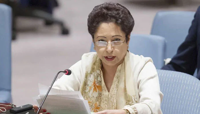 پاکستان اب دنیامیں سیکیورٹی پرووائیڈر کےطورپرابھررہا ہے:سابق امریکی سفیرملحیہ لودھی کاپاک سعودی دفاعی معاہدےکاخیرمقدم