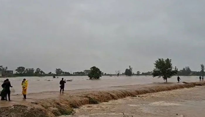 جنوبی پنجاب میں سیلاب کی تباہ کاریاں شدت اختیارکرگئیں،جلالپورپیروالاسب سےزیادہ متاثر