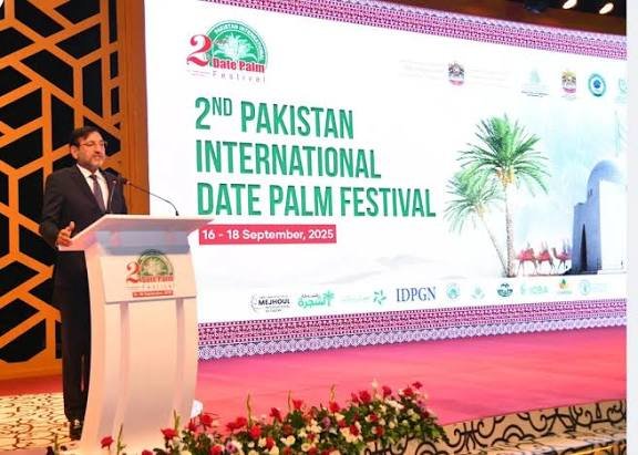 پاکستانی کھجوروں کے ذائقے نے غیر ملکی سرمایہ کاروں کو متوجہ کیا مگر جدید پراسیسنگ پلانٹس کی کمی نے برآمدات محدود کر دیں