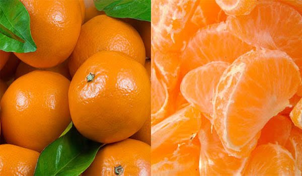کینو کی عالمی مانگ میں اضافہ:پاکستان نے برآمدات بڑھانے کی حکمتِ عملی تیار کر لی