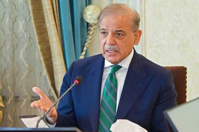اخراجات میں کمی اور بچت عوامی بھلائی کے لیے ہے: شہباز شریف